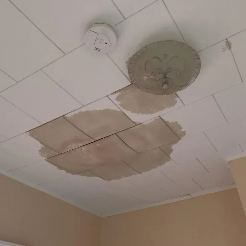 Ceiling Water Damage Repair in Armstrong County, TX