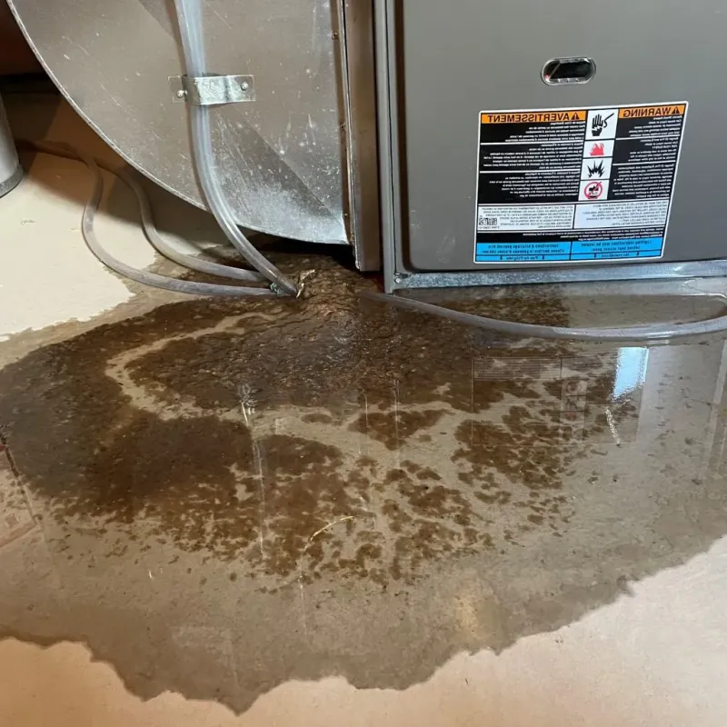 Pipe Burst and Leak Restoration in Armstrong County, TX